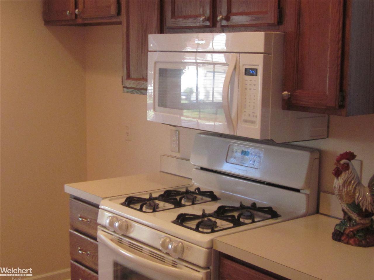 1597 Colony Drive Rochester Hills, MI 48307 - Photo 16 of 26