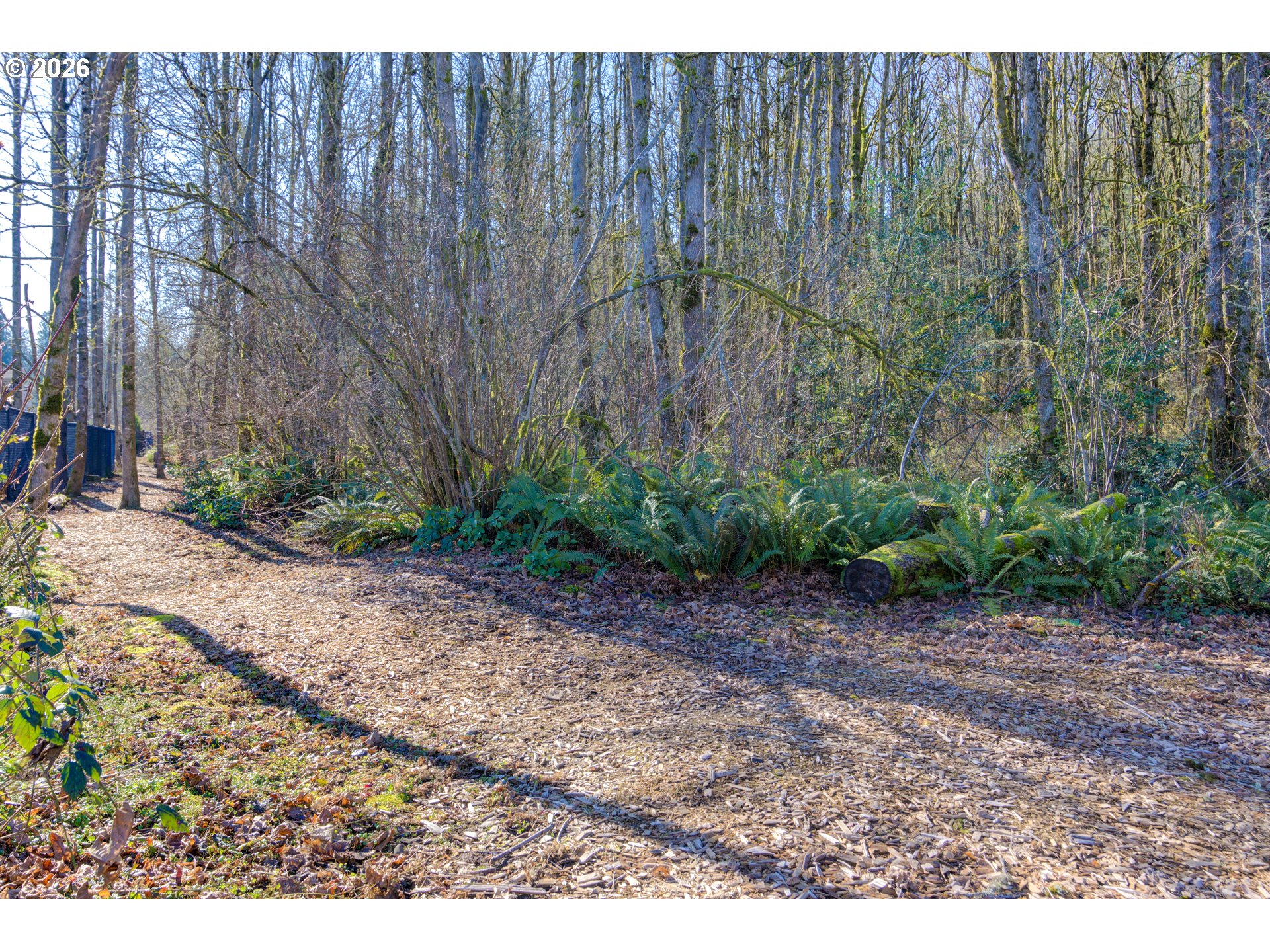 221 South 39th Drive Ridgefield, WA 98642 - Photo 34 of 35 a view of a backyard