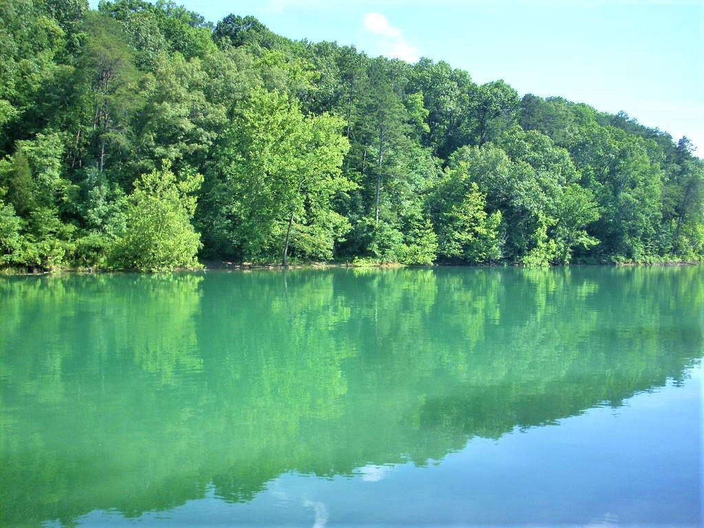 10 Cove Pointe Road La Follette, TN 37766 - Photo 1 of 10 Cove Point Lot 10