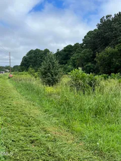 a view of a green field with lots of bushes