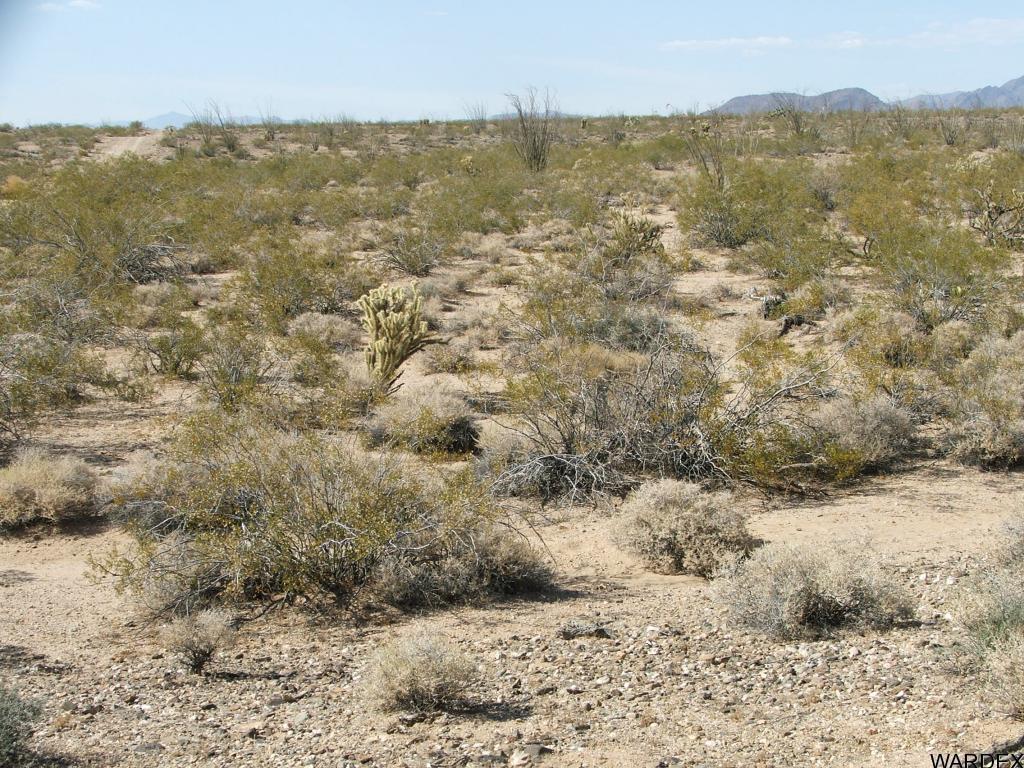 10-11 Apex Road Yucca, AZ 86438 - Photo 12 of 12 Additional Photo