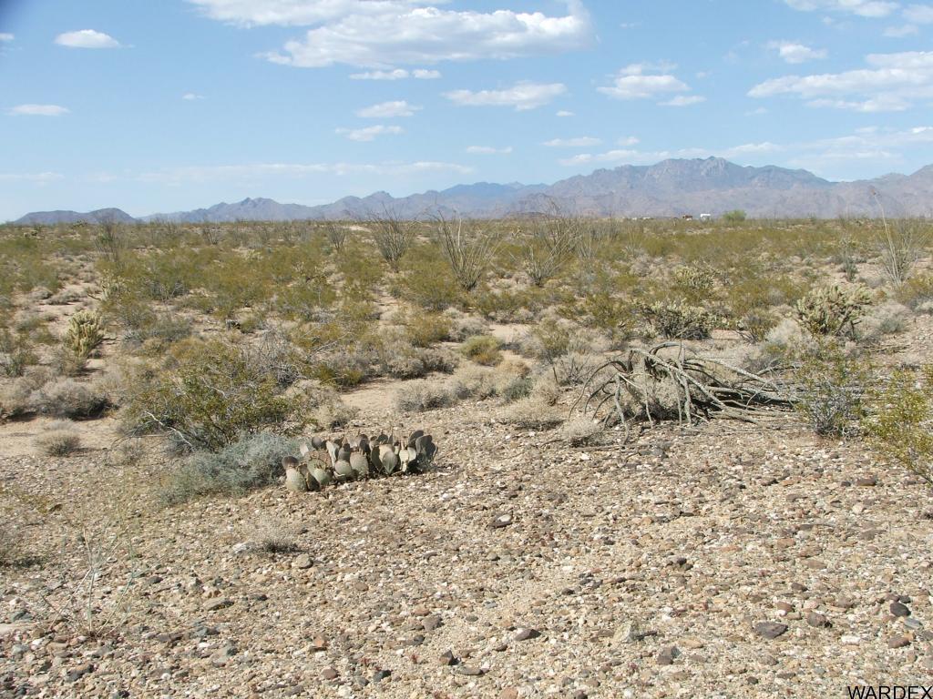 10-11 Apex Road Yucca, AZ 86438 - Photo 4 of 12 Additional Photo