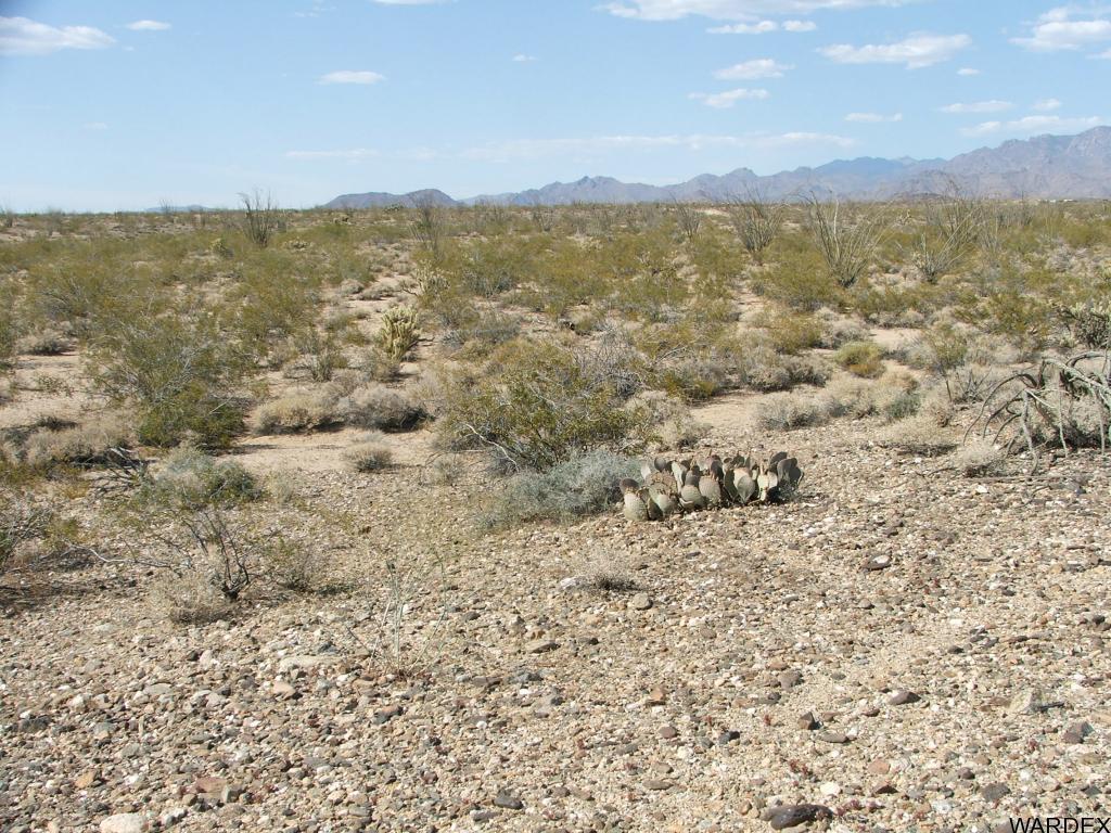10-11 Apex Road Yucca, AZ 86438 - Photo 5 of 12 Additional Photo