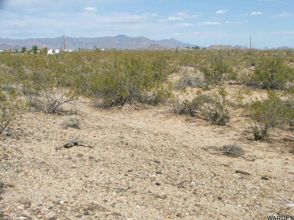 10-11 Apex Road Yucca, AZ 86438 - Photo 6 of 12 Additional Photo