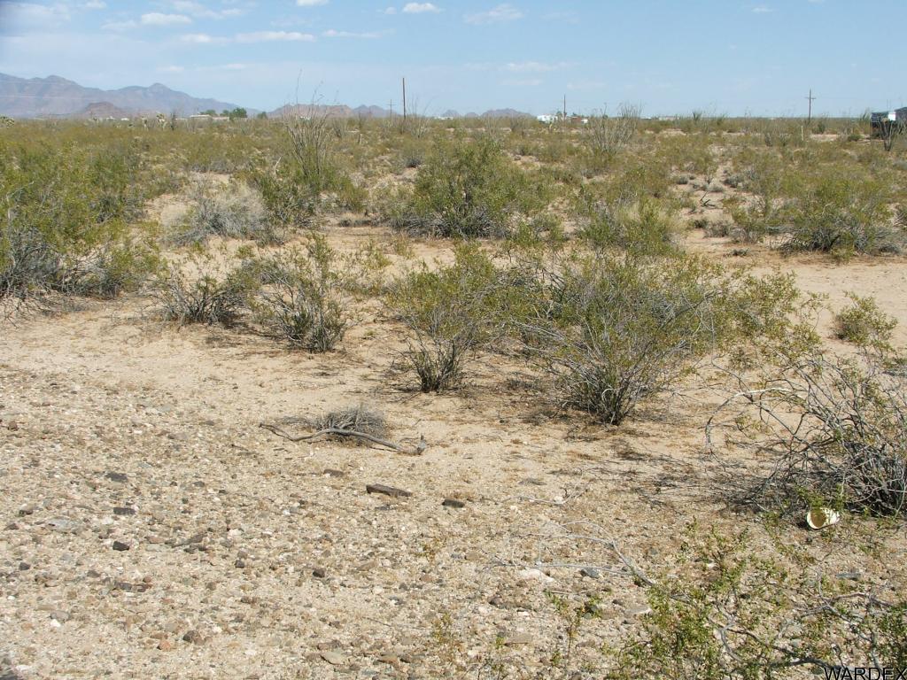 10-11 Apex Road Yucca, AZ 86438 - Photo 7 of 12 Additional Photo