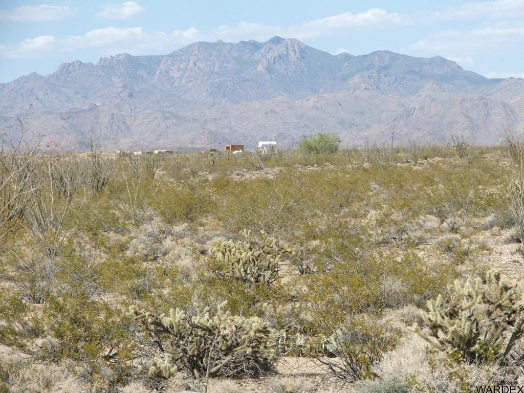 10-11 Apex Road Yucca, AZ 86438 - Photo 8 of 12 Additional Photo