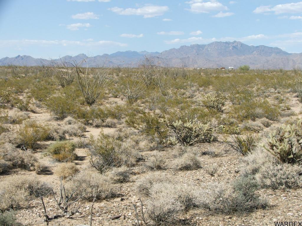 10-11 Apex Road Yucca, AZ 86438 - Photo 9 of 12 Additional Photo