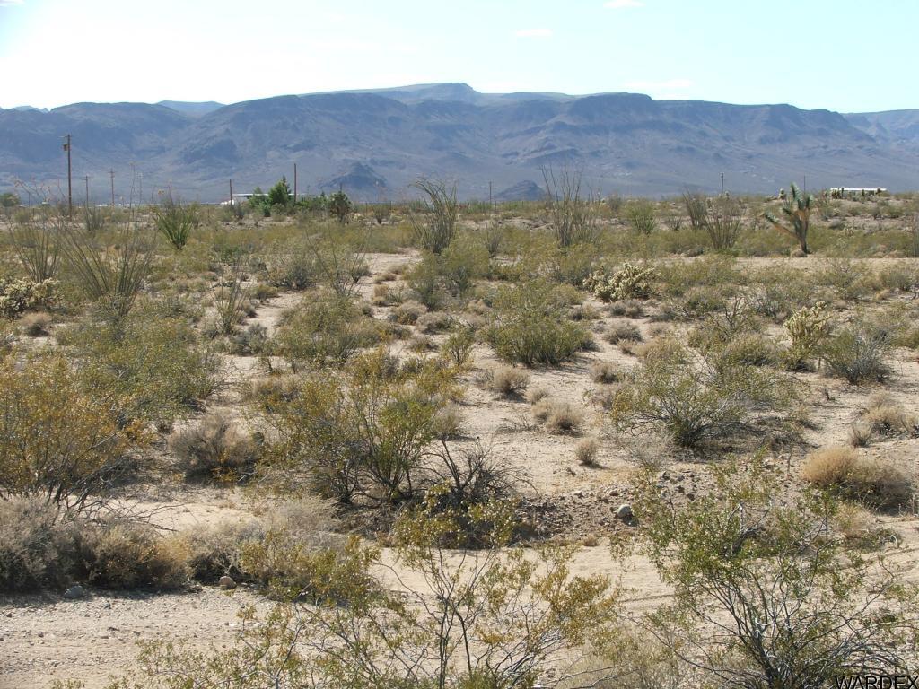 10-11 Apex Road Yucca, AZ 86438 - Photo 10 of 12 Additional Photo