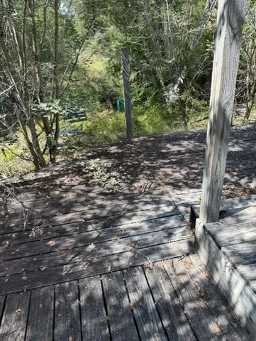 a view of a yard with plants and large trees