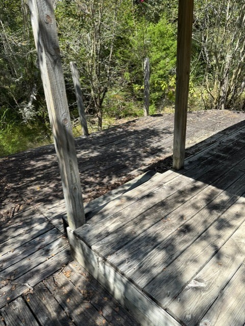 9522 Timberwilde Drive Bryan, TX 77808 - Photo 4 of 7 a view of a backyard with trees