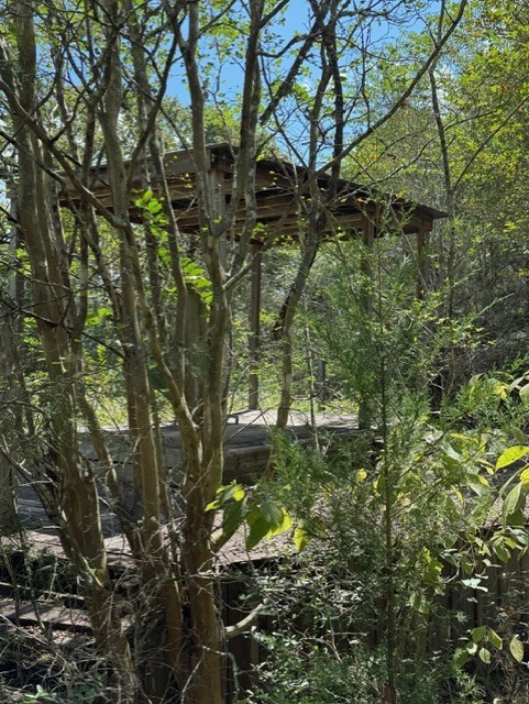 9522 Timberwilde Drive Bryan, TX 77808 - Photo 7 of 7 a backyard of a house with lots of green space