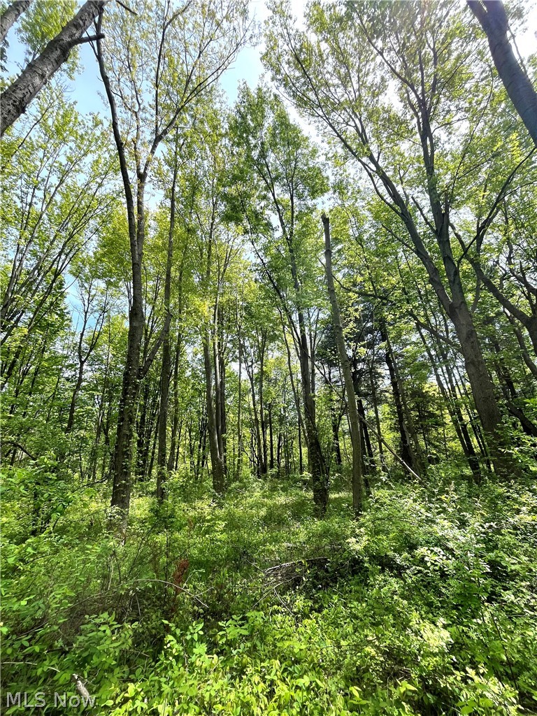 Bates Road Madison, OH 44057 - Photo 6 of 14