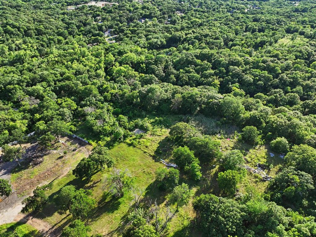 830 East Morgan Street Denison, TX 75021 - Photo 8 of 8 view of a lush green forest with lots of trees
