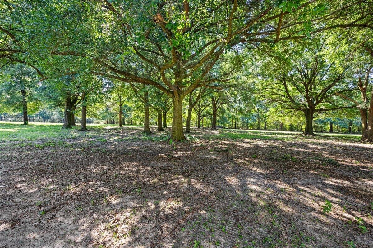 12400 Wildlife Road Holt, FL 32564 - Photo 19 of 62