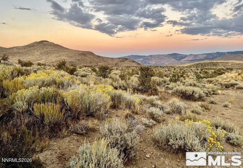 230 Shepherds Bush Court, Unit 804 Reno, NV 89511 - Photo 11 of 18 St James 5