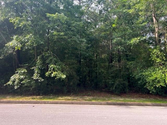 Tbd Shannan Road Opp, AL 36467 - Photo 1 of 20 Gallery Image 1