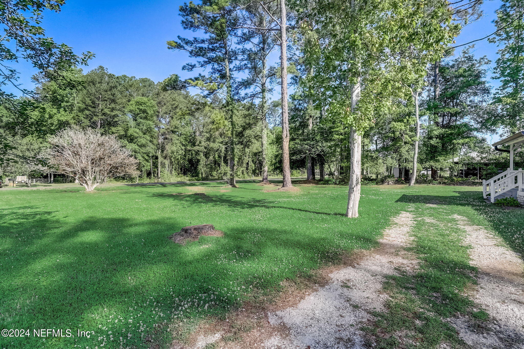 54262 Vikki Road Callahan, FL 32011 - Photo 4 of 48 a view of a trees with a big yard