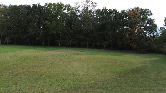 a view of a yard with a tree