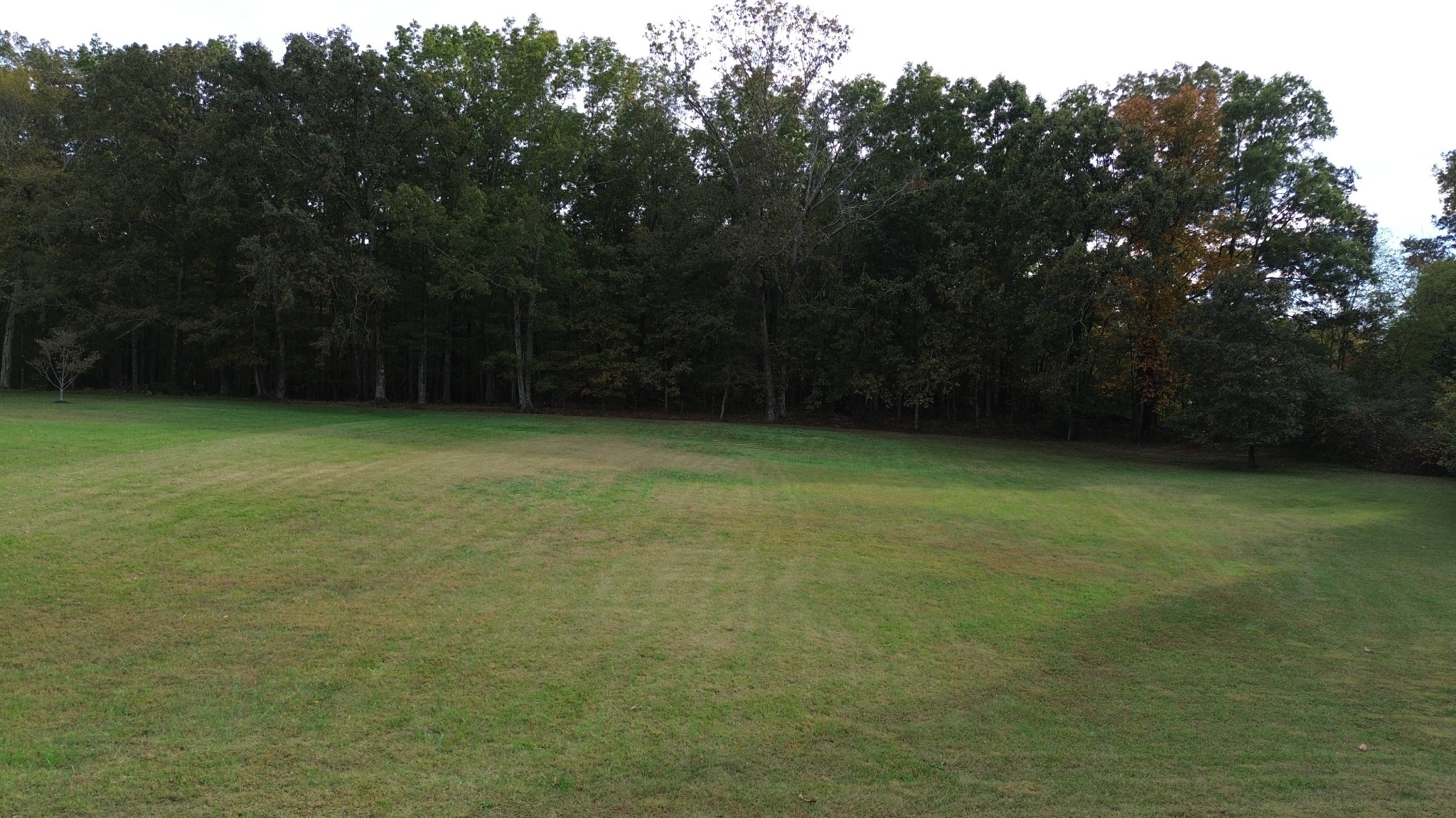 0 Center Point Drive Summertown, TN 38483 - Photo 7 of 10 a view of a yard with a tree