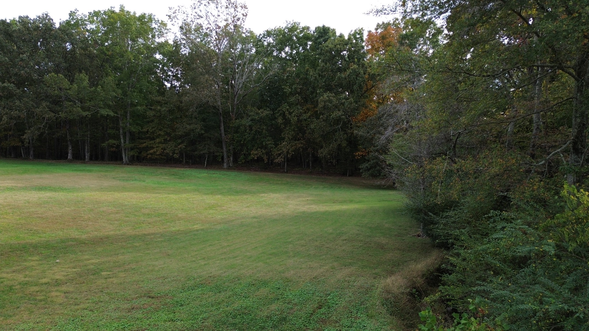 0 Center Point Drive Summertown, TN 38483 - Photo 8 of 10 a view of a field with trees in the background