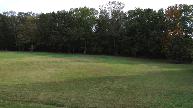 a view of a field with trees in front of it