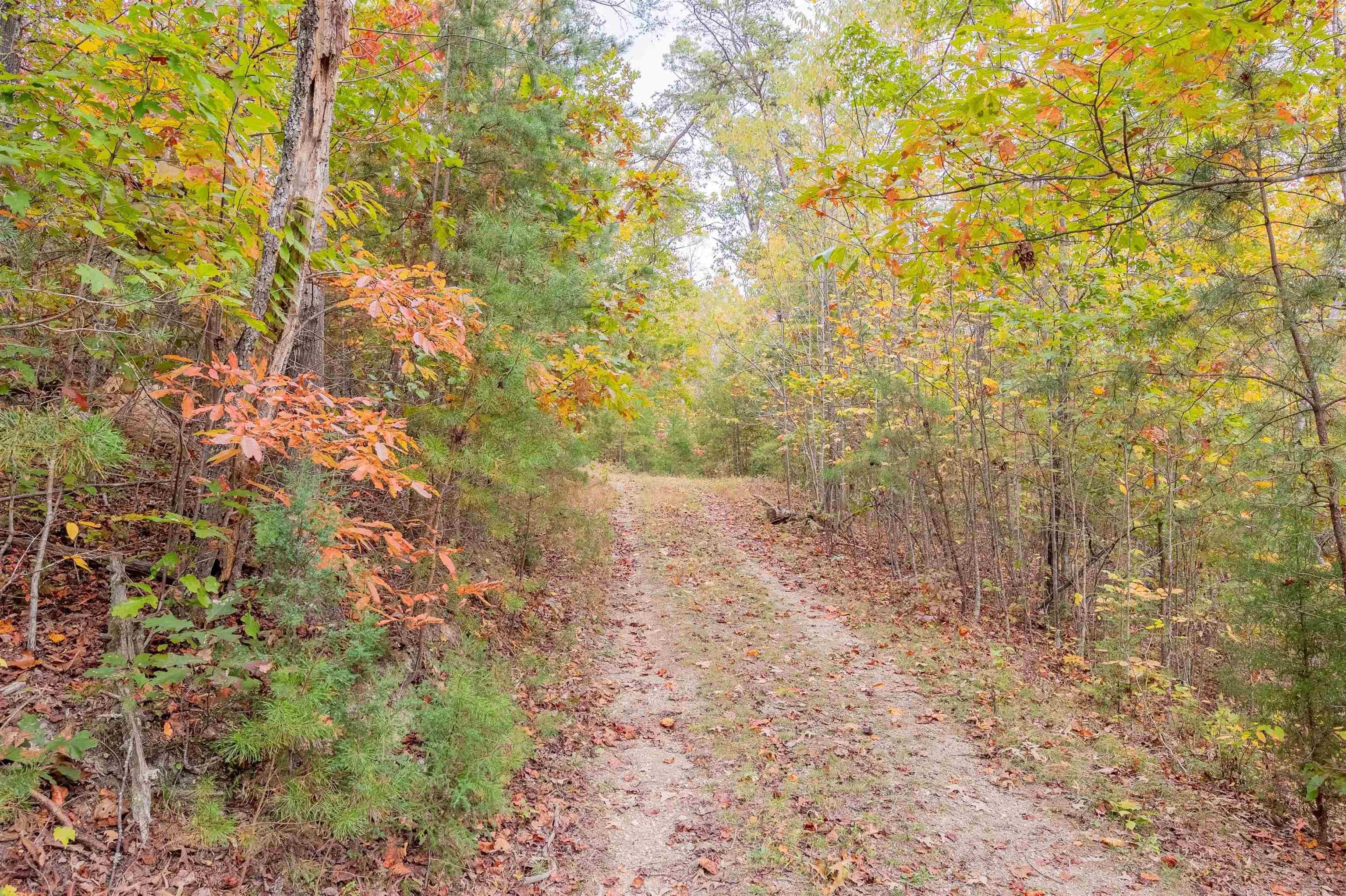 Tbd Bradshaw Road Elliston, VA 24087 - Photo 12 of 21 Gallery Image 12
