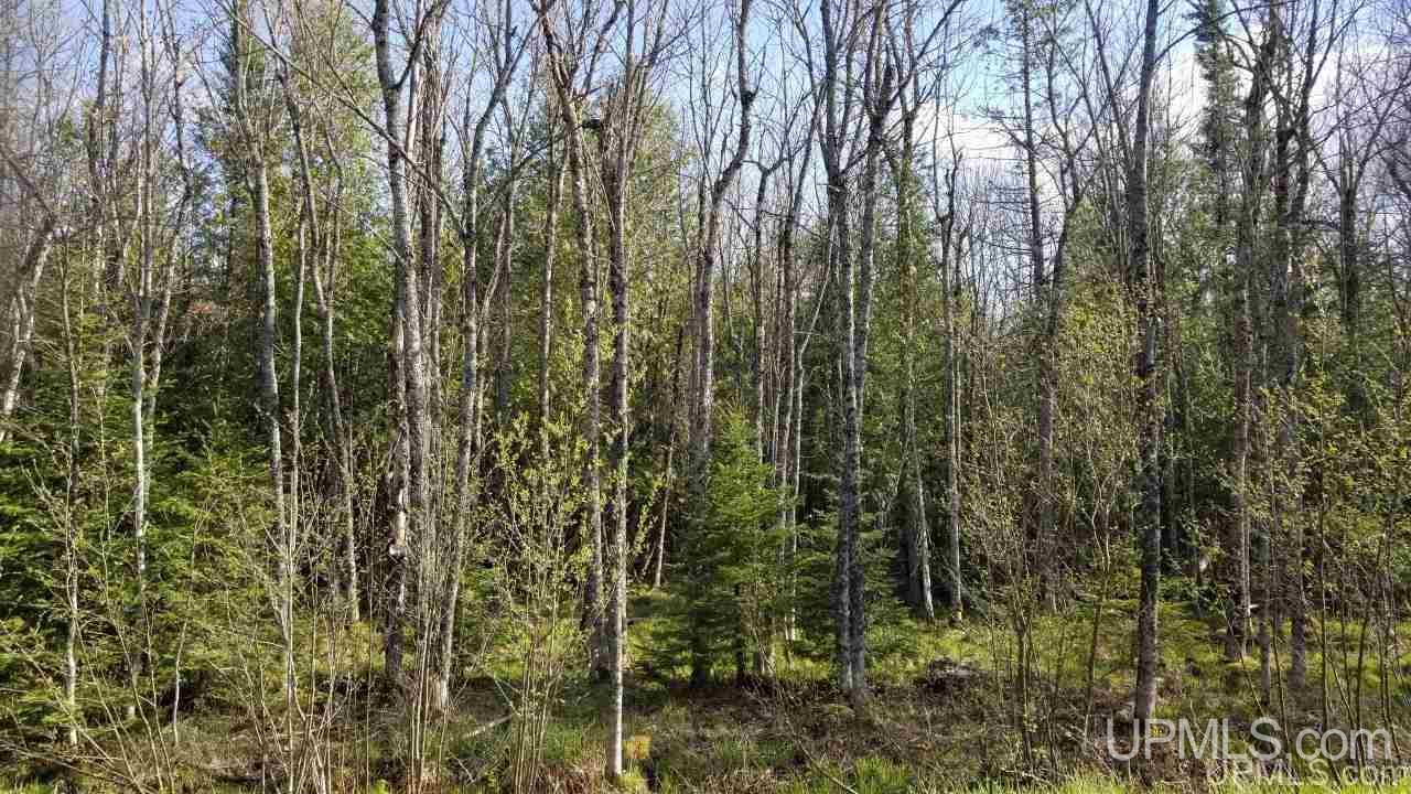 Tbd Idlewild Road Crystal Falls, MI 49920 - Photo 2 of 13