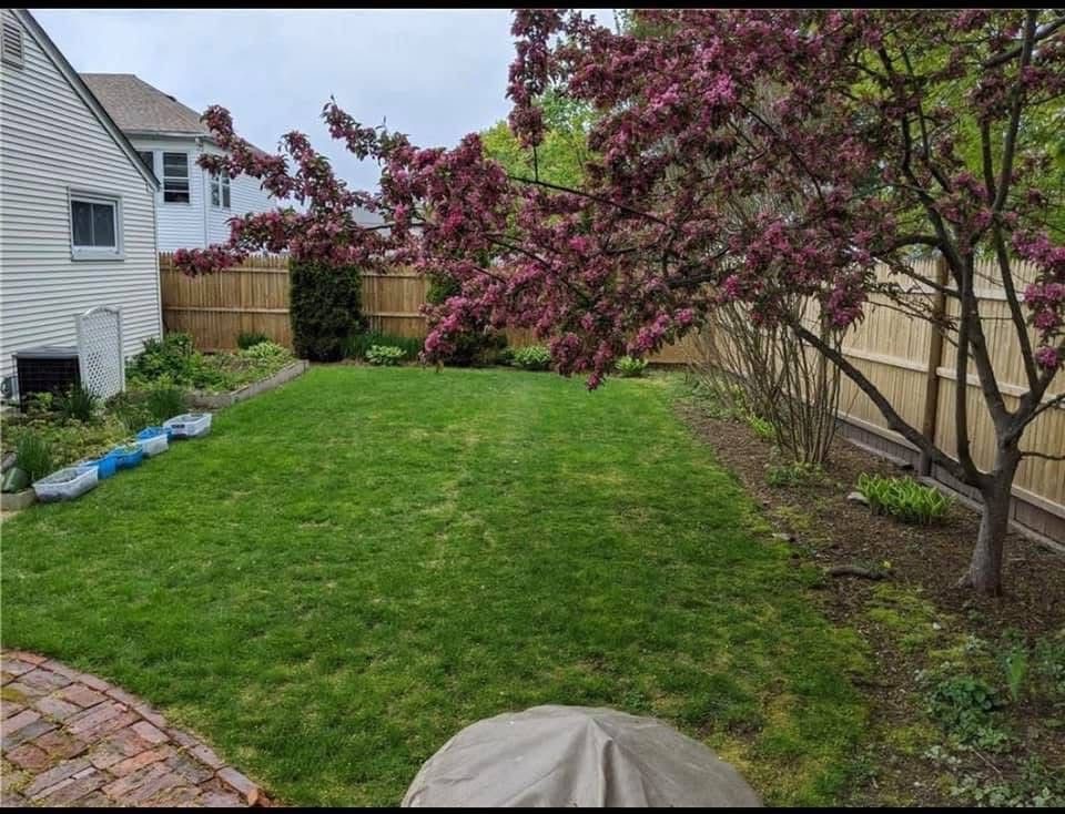 62 Hillcrest Avenue Pawtucket, RI 02860 - Photo 7 of 23 Summer