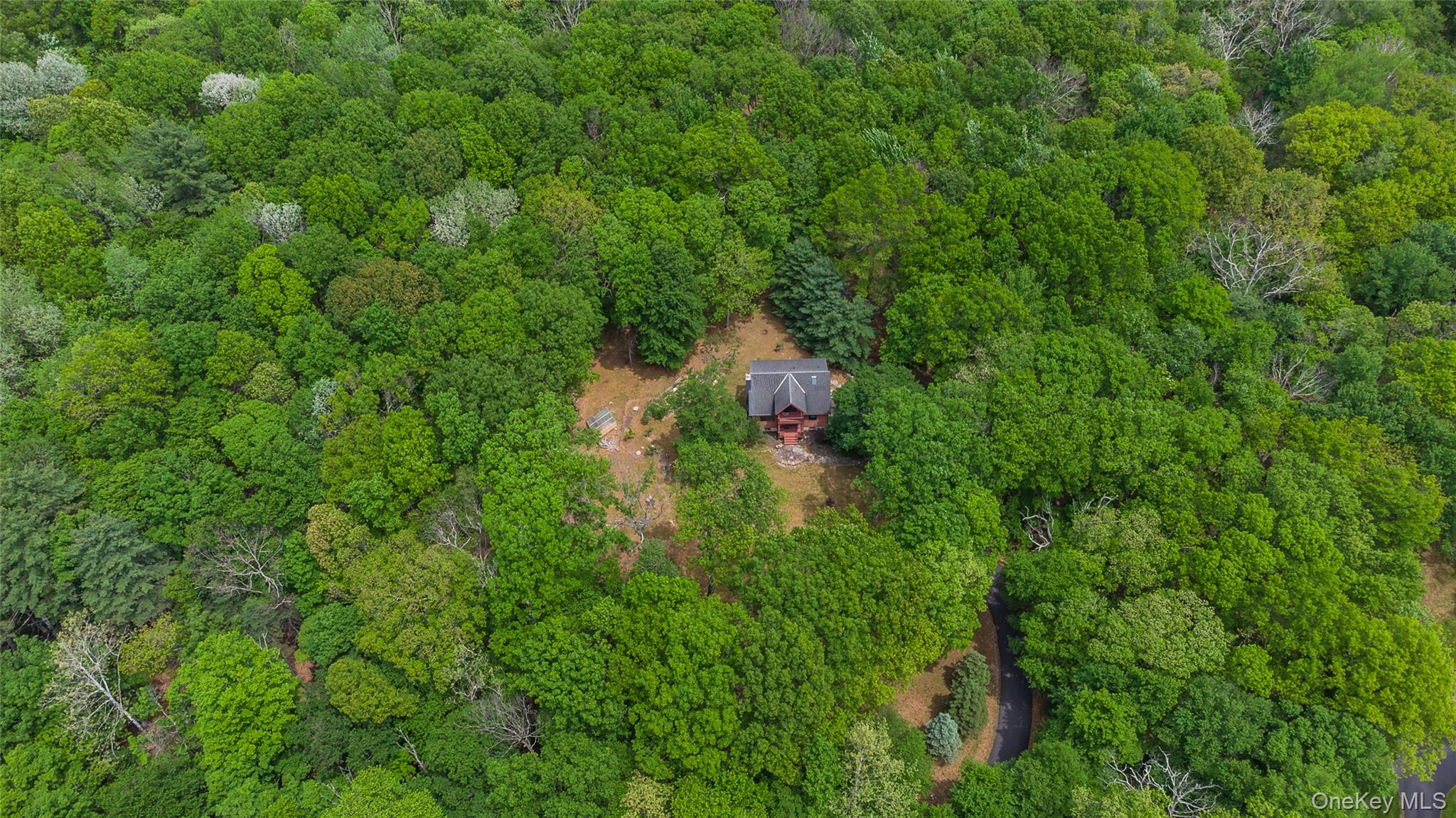 182 Frey Road Pine Bush, NY 12566 - Photo 33 of 33 a view of a forest with a tree