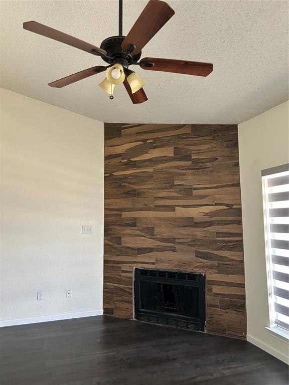 4107 Esters Road Irving, TX 75038 - Photo 19 of 21 Fireplace