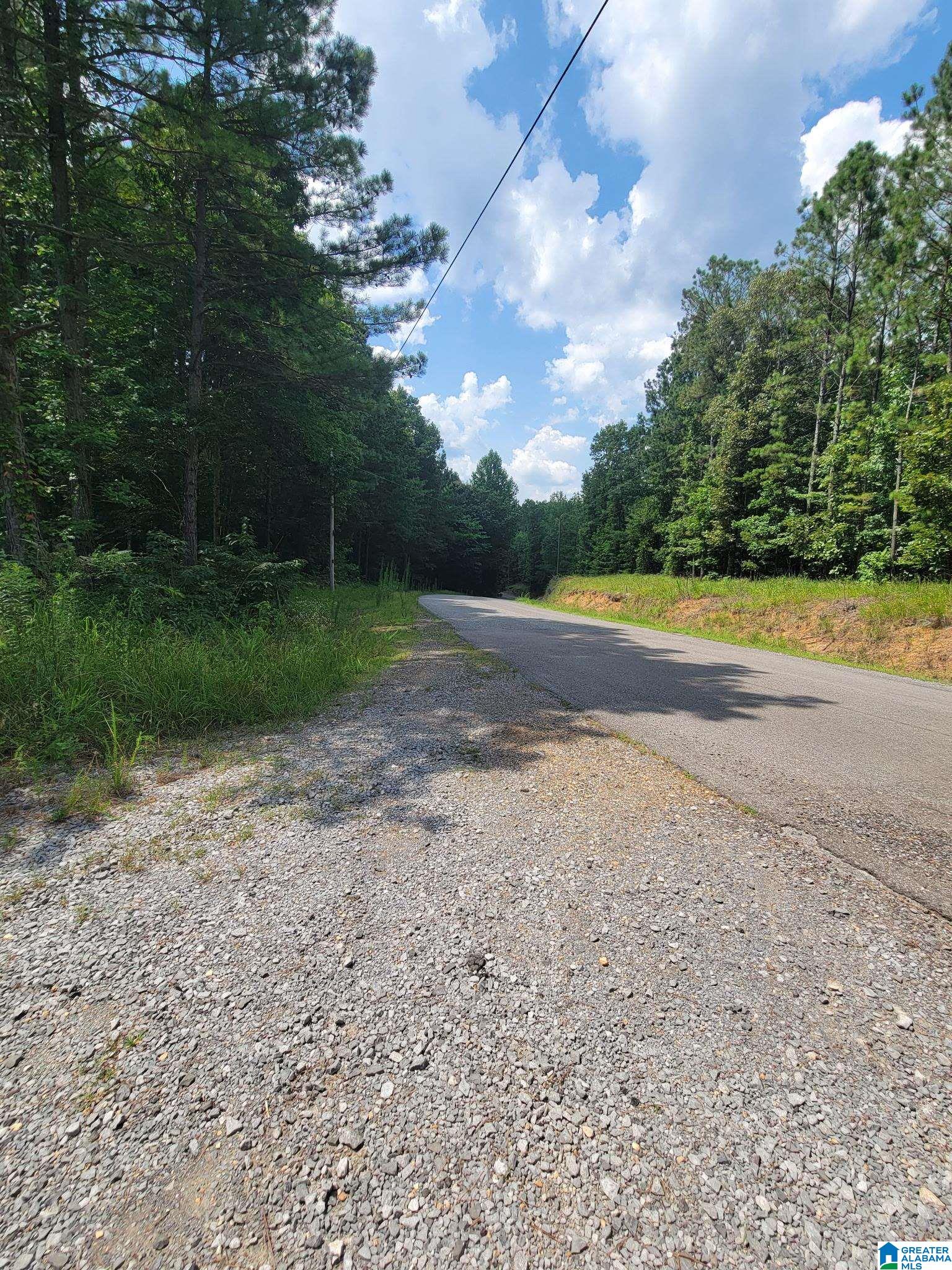 499 Sweet Apple Road Cropwell, AL 35054 - Photo 7 of 9