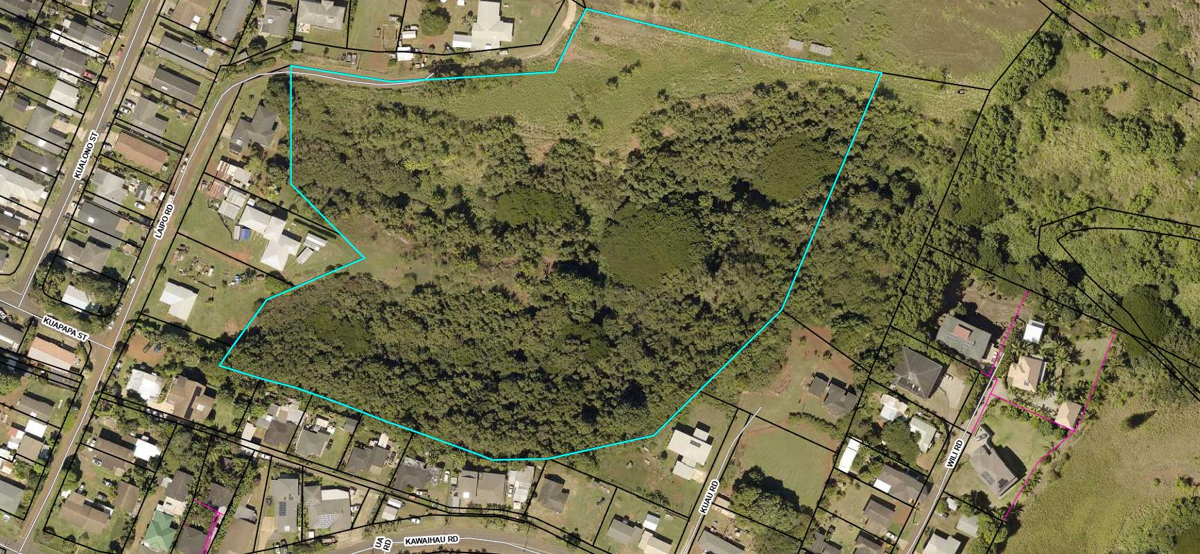 15 Laipo Road Kapaa, HI 96746 - Photo 6 of 8 a view of a yard