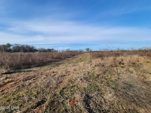 $64,000 | Tbd Gainer Cemetery Road, Graceville, FL 32440