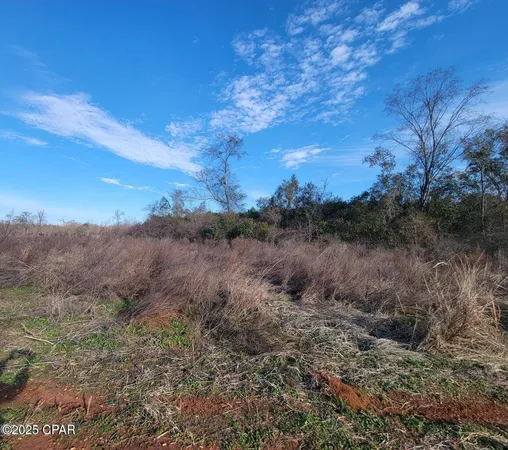 $50,100 | Tbd Gainer Cemetery Road, Graceville, FL 32440