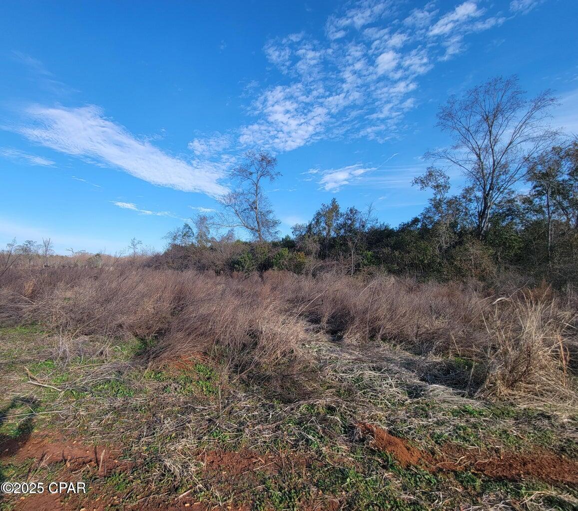 Tbd Gainer Cemetery Road Graceville, FL 32440 - Photo 2 of 5