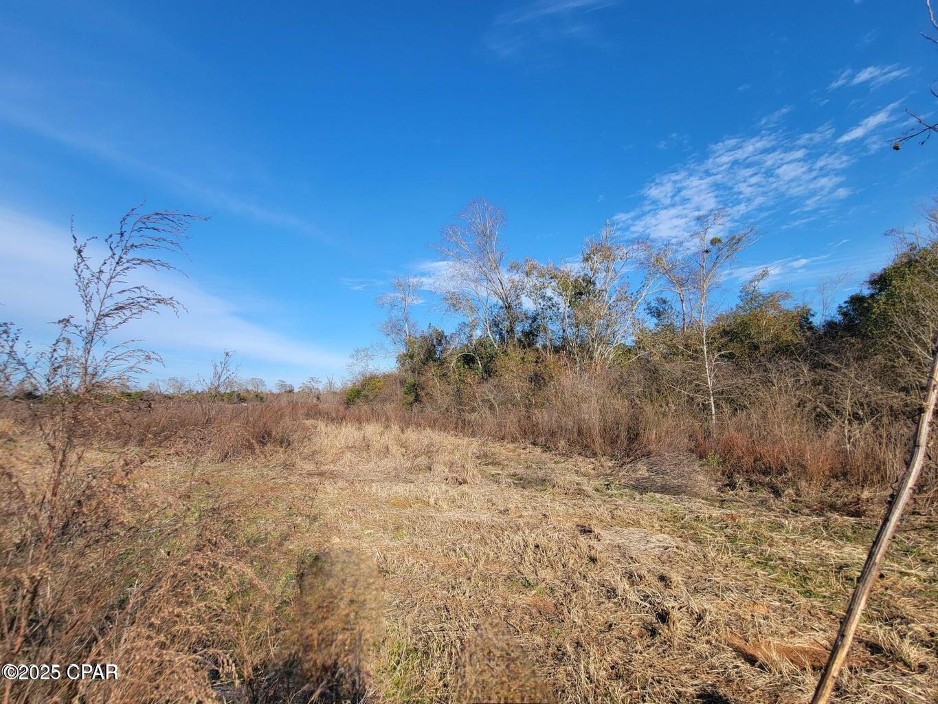 Tbd Gainer Cemetery Road Graceville, FL 32440 - Photo 3 of 5