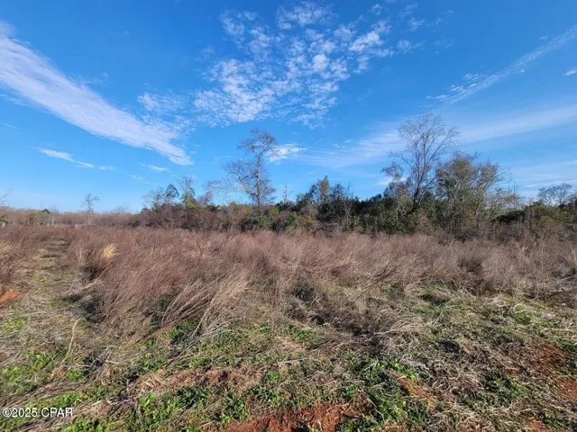 $64,000 | Tbd Gainer Cemetery Road, Graceville, FL 32440