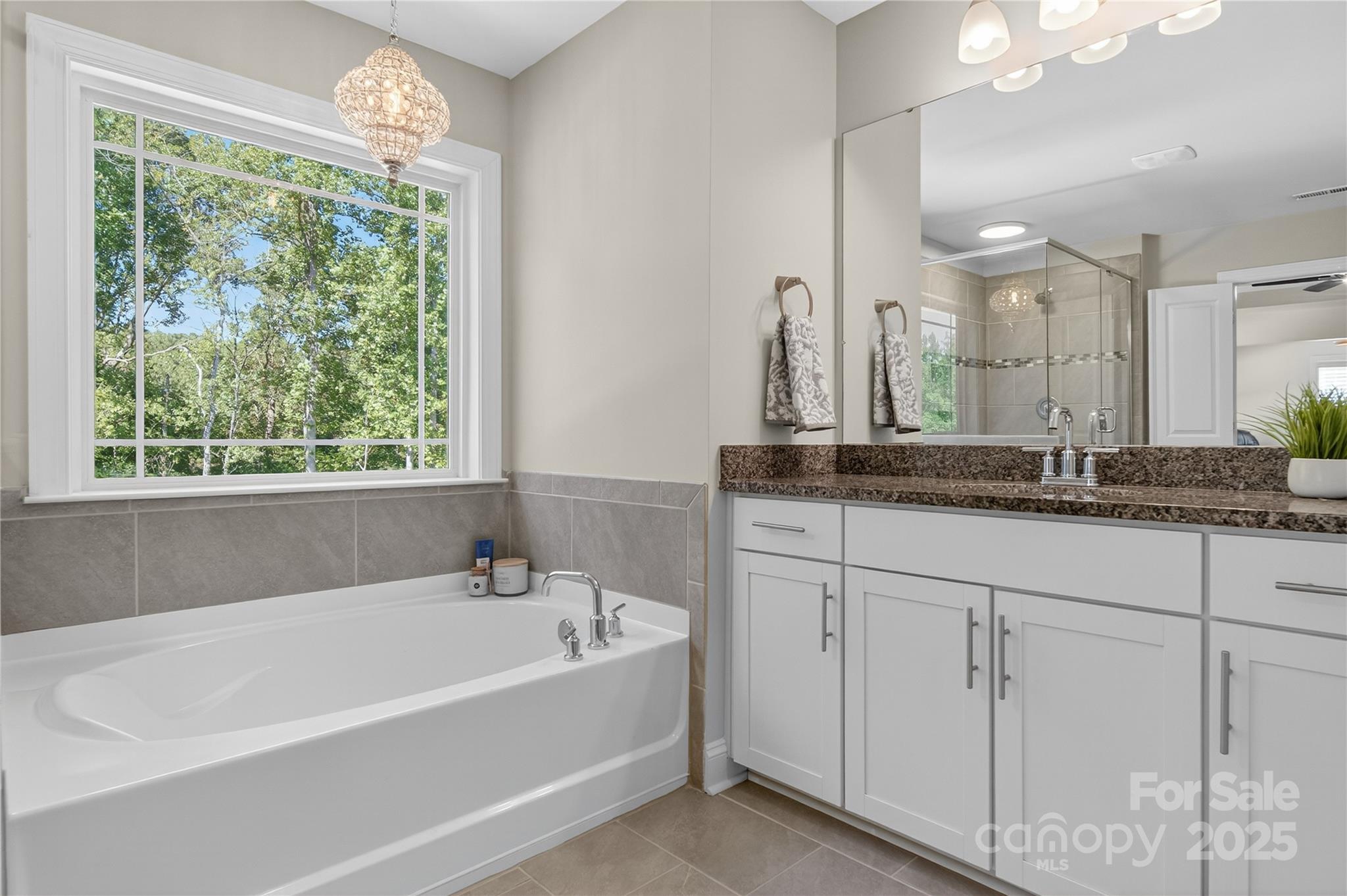 436 Preston Road Mooresville, NC 28117 - Photo 11 of 46 Gallery Image 11