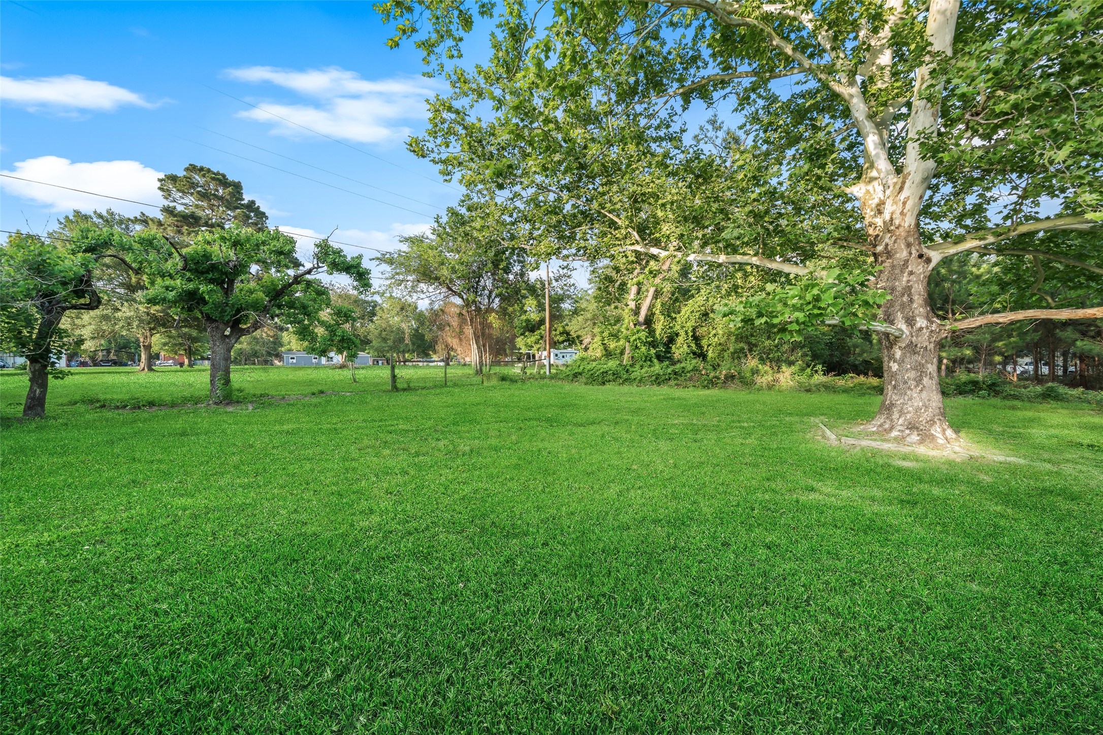 104 Rankin Drive Trinity, TX 75862 - Photo 3 of 30