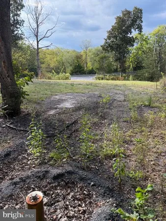 a view of outdoor space with trees all around