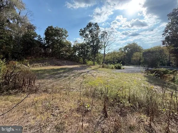 a view of outdoor space with trees all around