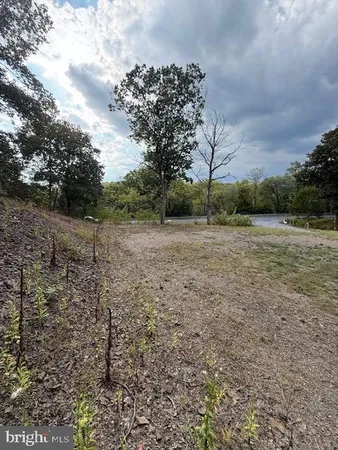 a view of a yard with a tree
