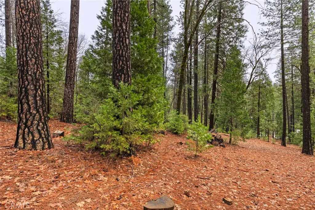 0 Christina Drive Magalia, CA 95954 - Photo 17 of 18 a view of outdoor space with lots of trees