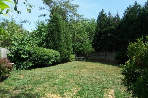 124 Emory Lane Oak Ridge, TN 37830 - Photo 14 of 21 Additional Photo