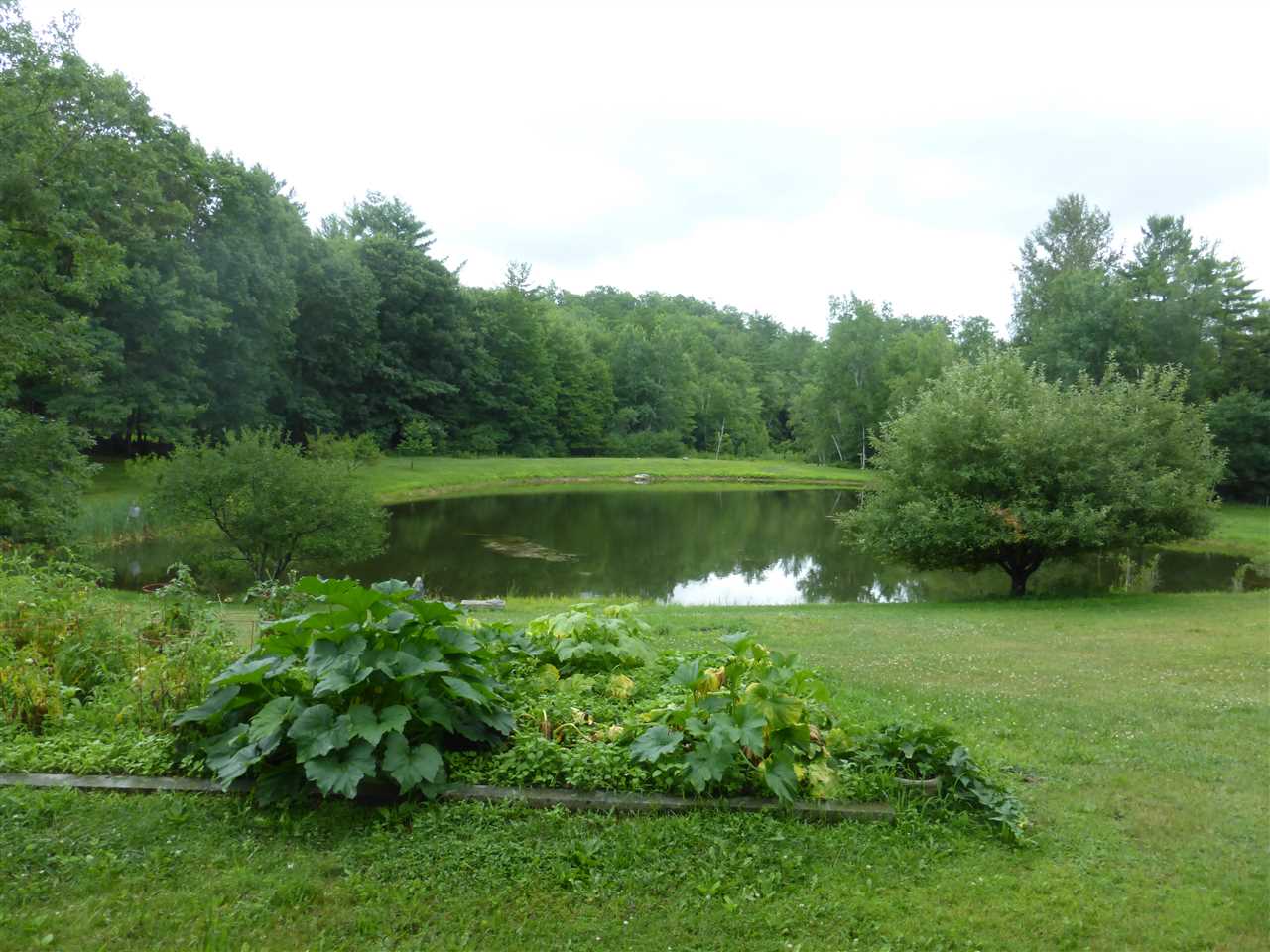 173 Bee Hole Road Loudon, NH 03307 - Photo 4 of 35