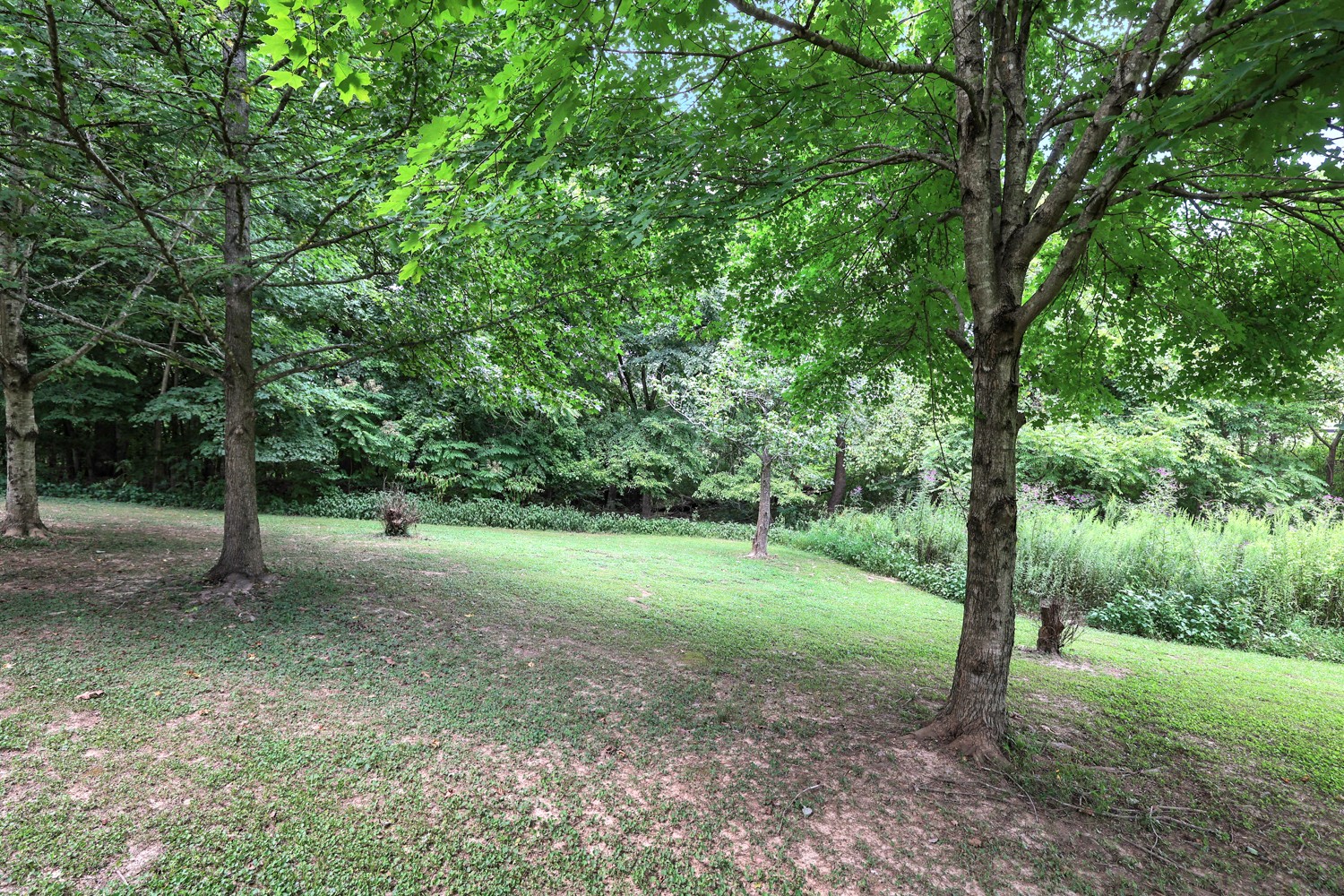 1064 Fannie Nicholson Road Chapmansboro, TN 37035 - Photo 38 of 45 Gallery Image 38