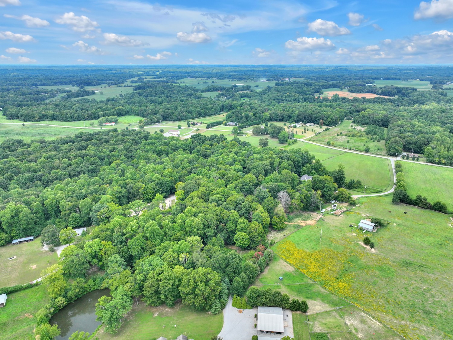 1064 Fannie Nicholson Road Chapmansboro, TN 37035 - Photo 40 of 45 Gallery Image 40