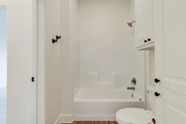 a bathroom with a toilet and a bathtub