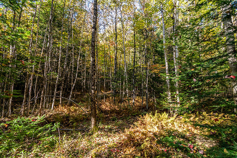 0 Rockwell Road Plattsburgh, NY 12901 - Photo 13 of 15 Land_Fall_Use