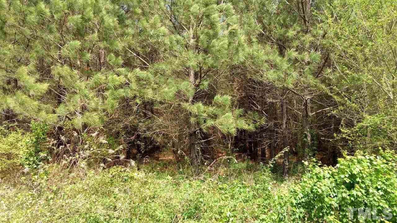 187 J B Leonard Road Castalia, NC 27816 - Photo 8 of 8 Gallery Image 8